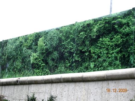 DSCN2217