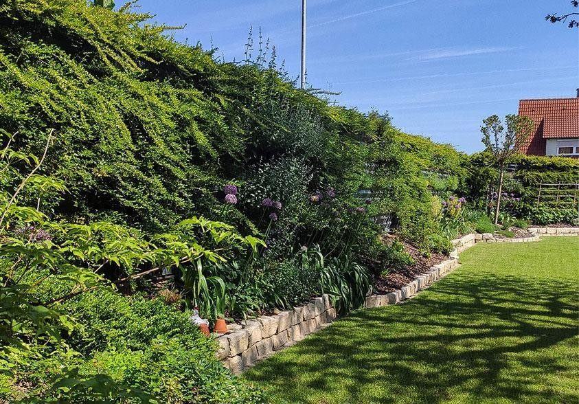 Pantalla VG-E con plantación de flor y arbustivas en un jardín privado
