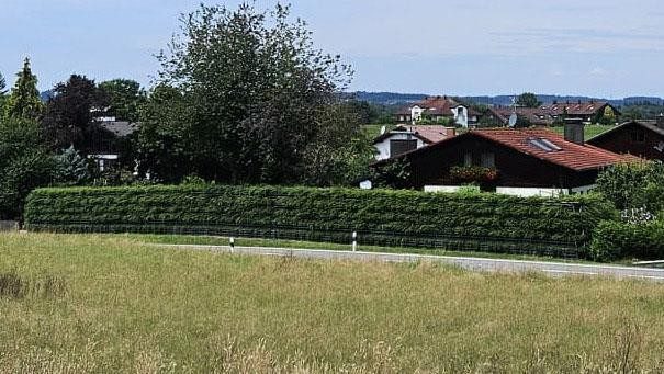 Pantalla VG-E vegetalizada junto a una urbanización y una zona verde